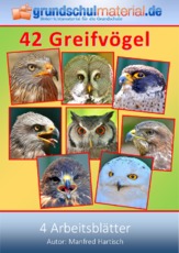 Greifvögel.pdf